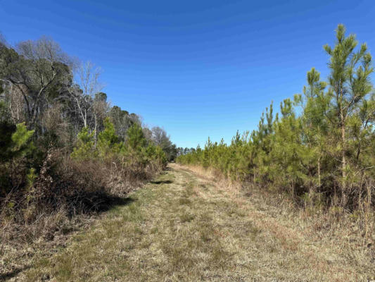 TRACT A HOLLIMAN RD., GREELEYVILLE, SC 29056 - Image 1