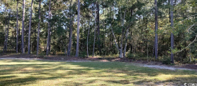 885 MARTIN LUTHER KING RD, PAWLEYS ISLAND, SC 29585, photo 3 of 7