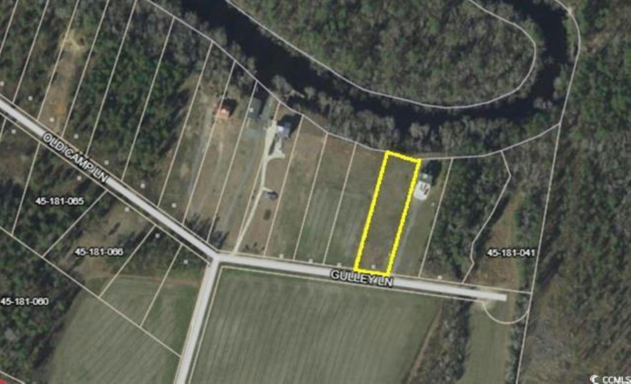 TBD GULLEY LN., SALTERS, SC 29590, photo 1 of 2