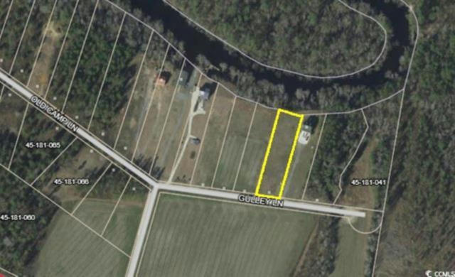 TBD GULLEY LN., SALTERS, SC 29590 - Image 1