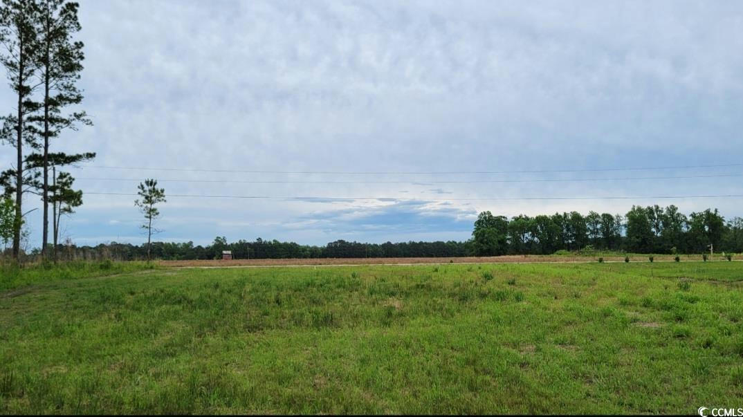 TBD LAWSON RD., LORIS, SC 29569, photo 1 of 3