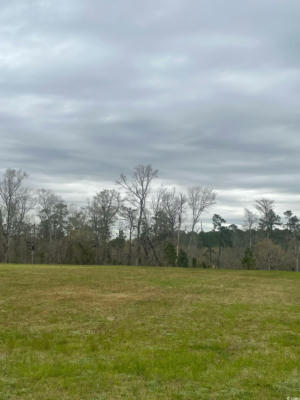 TBD GULLEY LN., SALTERS, SC 29590, photo 2 of 2