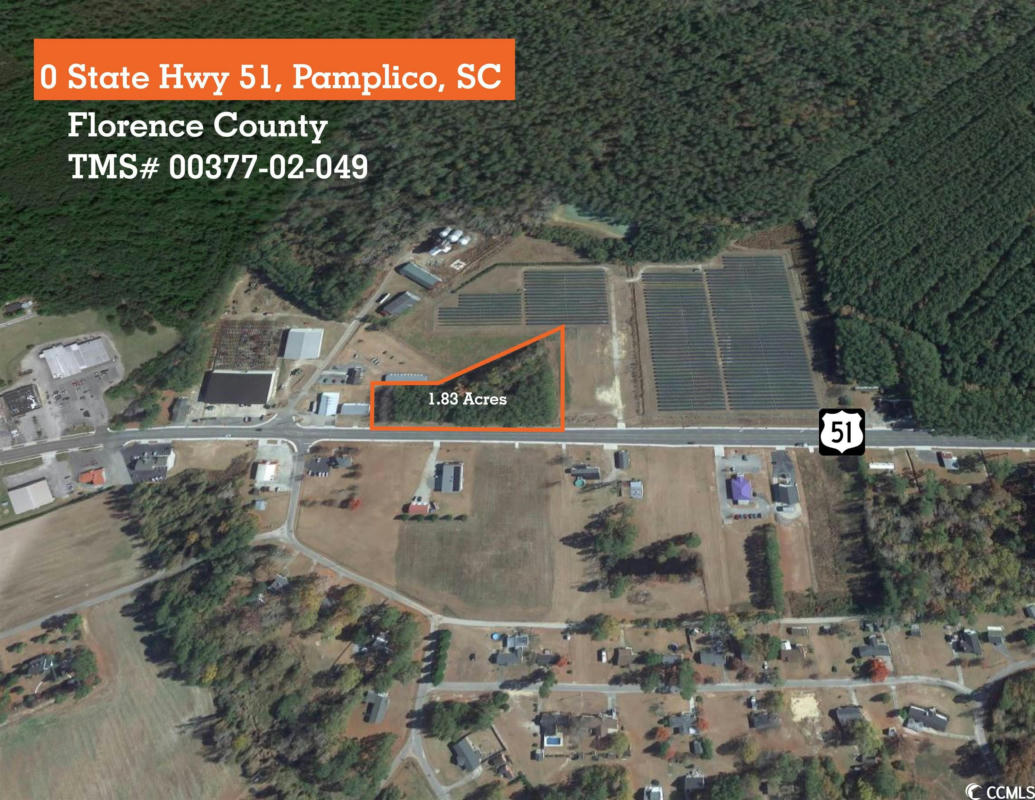 0 HIGHWAY 51, PAMPLICO, SC 29583, photo 1 of 5