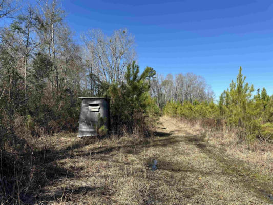 TRACT A HOLLIMAN RD., GREELEYVILLE, SC 29056, photo 2 of 9