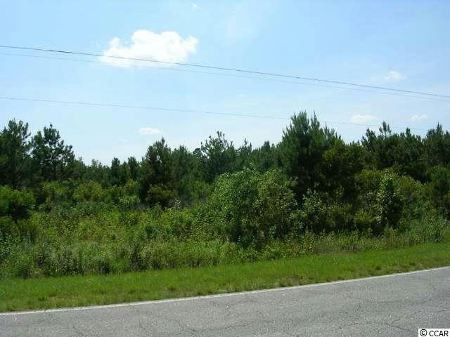 TRACT A HIGHWAY 9, GREEN SEA, SC 29545, photo 1 of 3