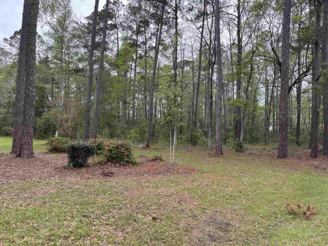 LOT 5 S PERSIMMON FORD RD., JOHNSONVILLE, SC 29555, photo 1 of 2