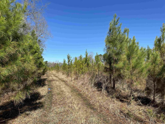 TRACT A HOLLIMAN RD., GREELEYVILLE, SC 29056, photo 4 of 9
