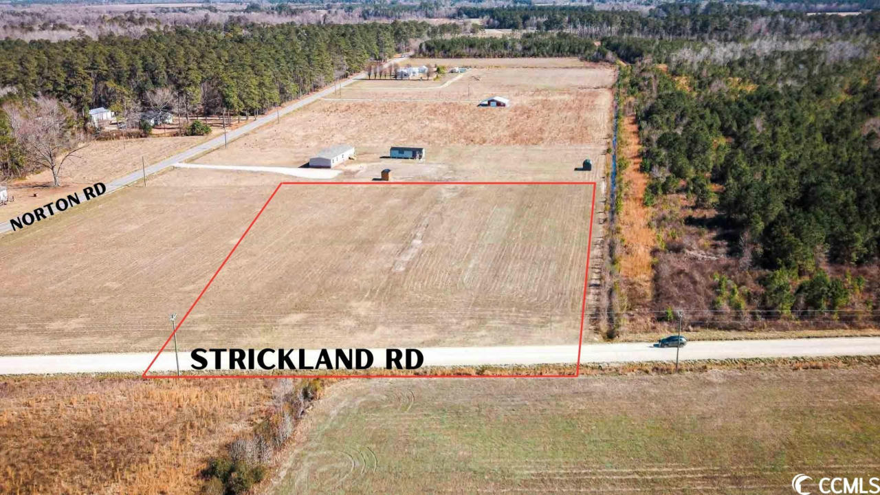 TBD STRICKLAND RD., GREEN SEA, SC 29545, photo 1 of 9