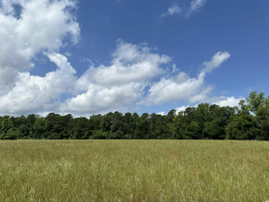 TBD MARY RD., GREELEYVILLE, SC 29056 - Image 1