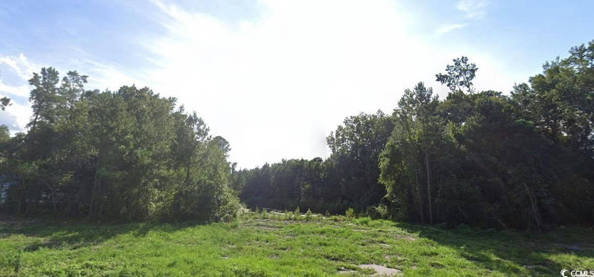 TBD RED BLUFF RD., LORIS, SC 29569, photo 1 of 5