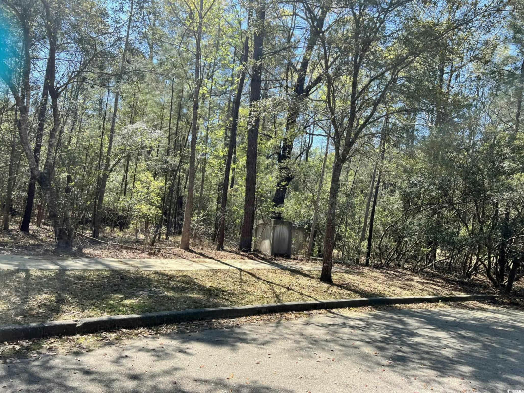 LOT 1061 DUANY DR., GEORGETOWN, SC 29440, photo 1