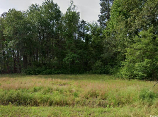 LOT 1 WILLIAM NOBLES RD., AYNOR, SC 29511 - Image 1