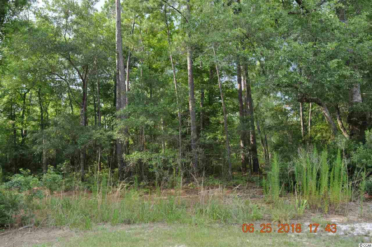 TBD FRANCIS MARION DR., GEORGETOWN, SC 29440, photo 1 of 8